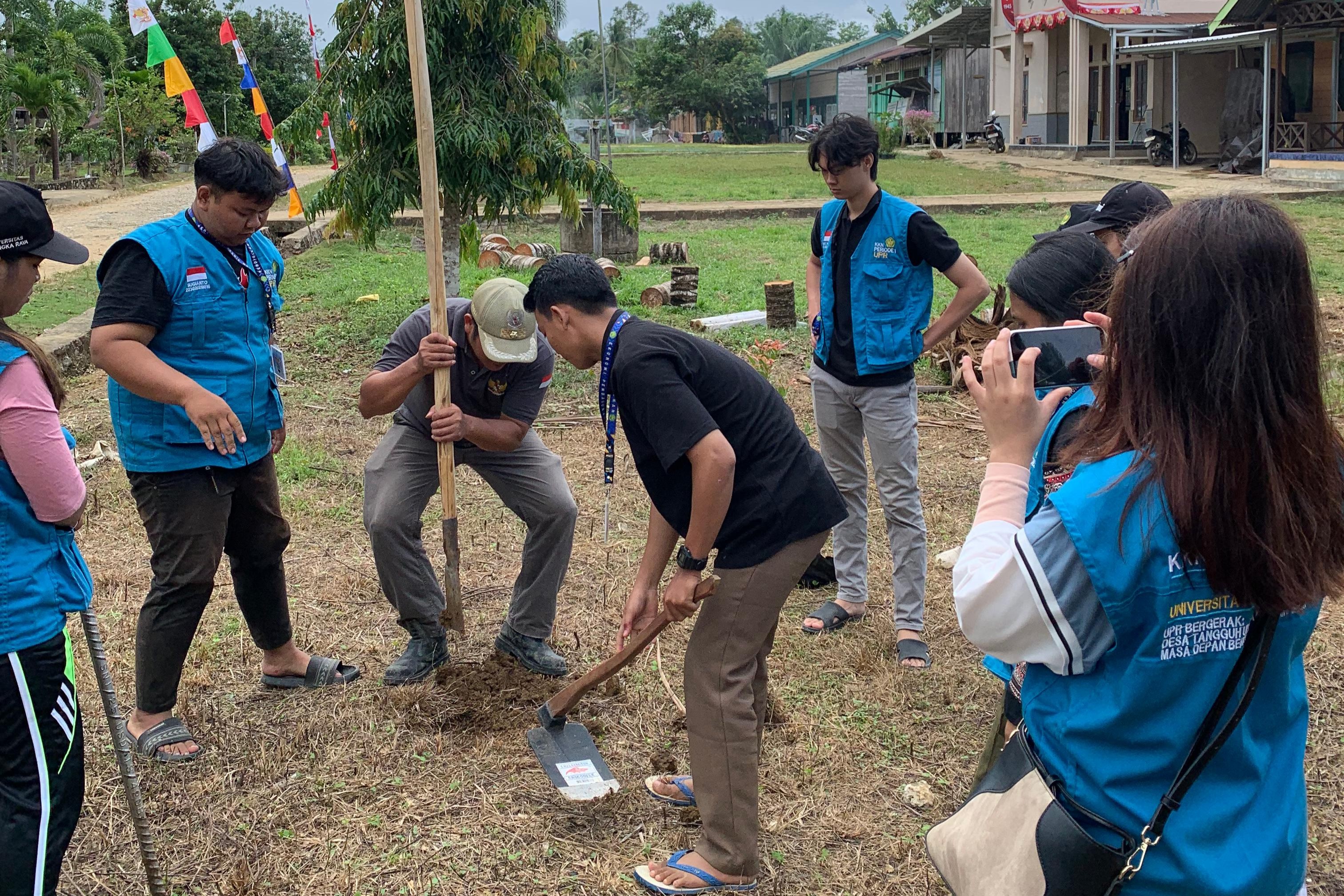 Penanaman Bibit